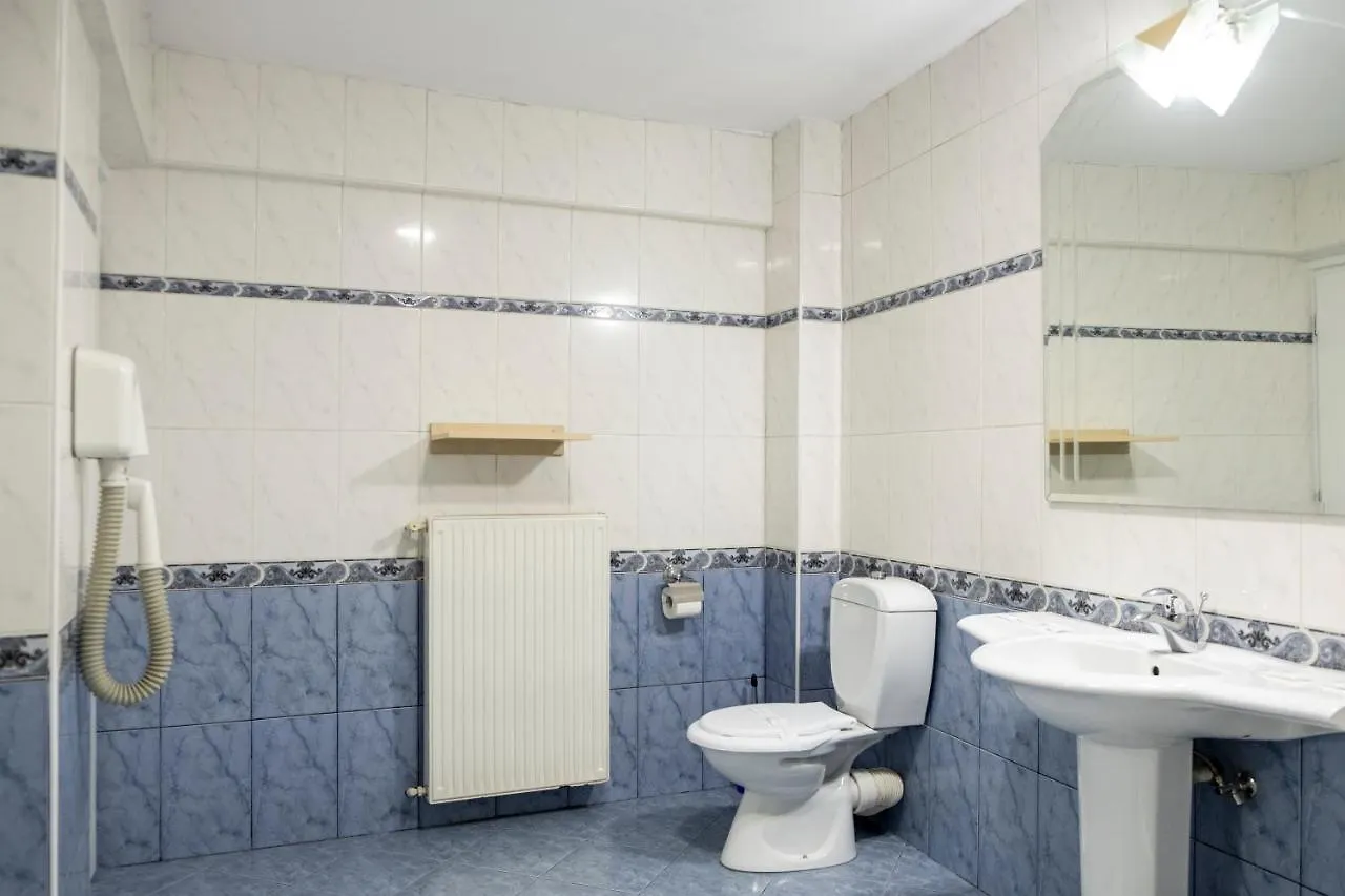 Casa Gabriela Hotel Bucharest 3*,